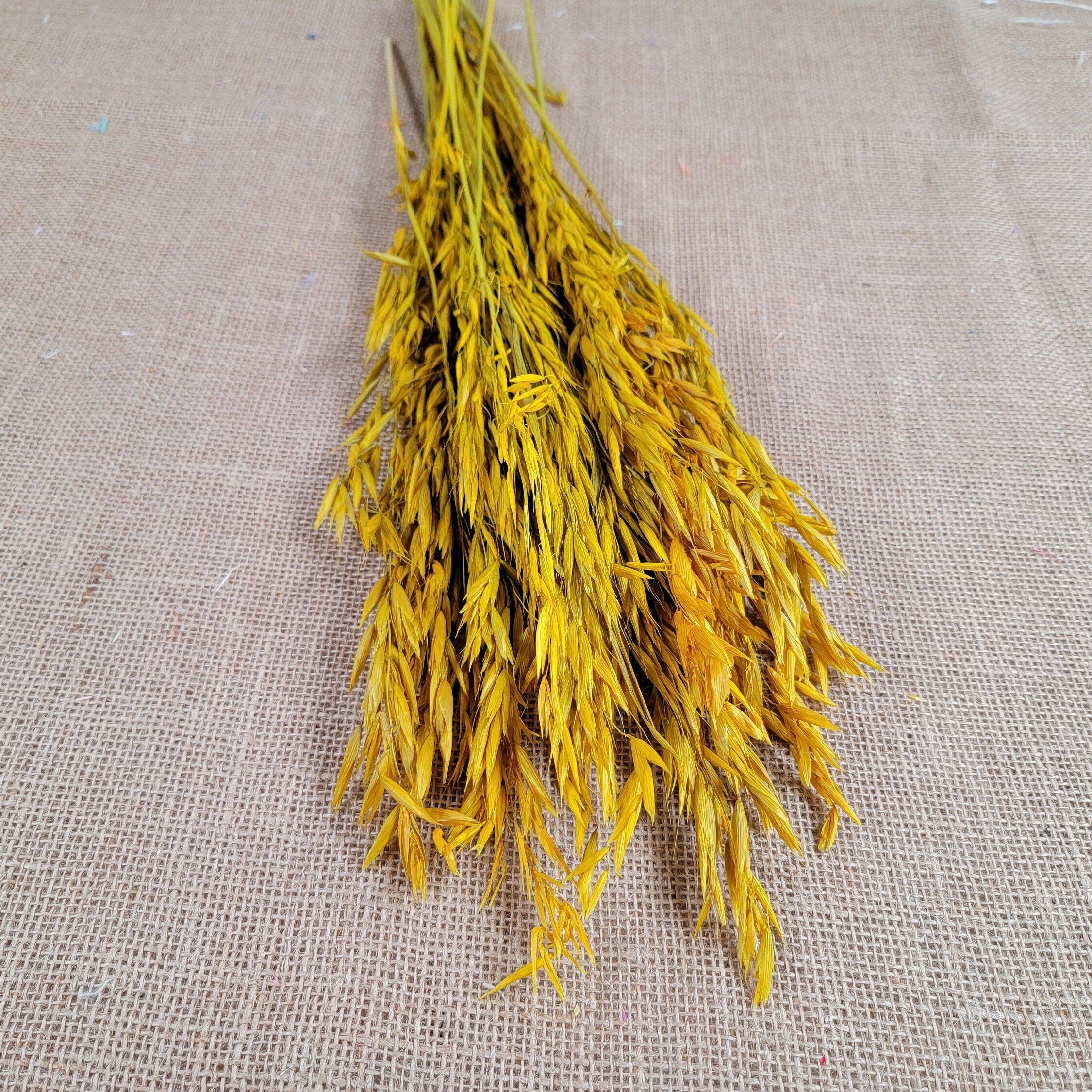 Dried Oats Flower Bundle: Home & Wedding Decor, 20 Stems